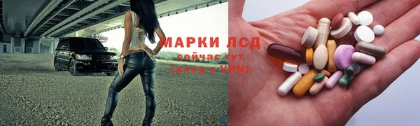 хмурый Алексин