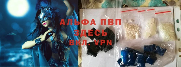 хмурый Алексин