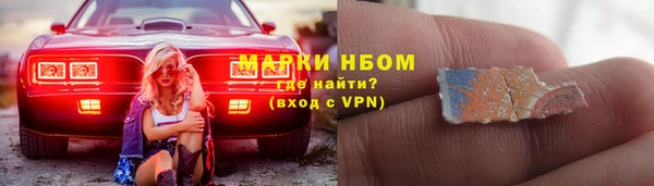 хмурый Алексин