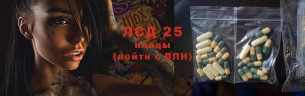 хмурый Алексин