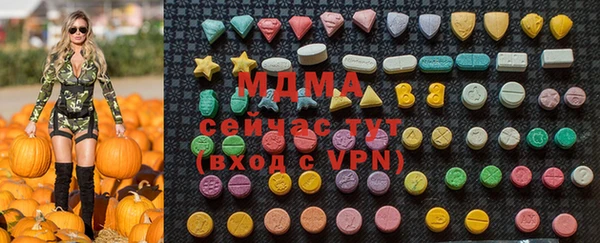 хмурый Алексин