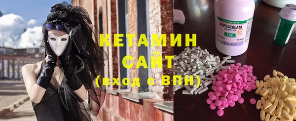 хмурый Алексин