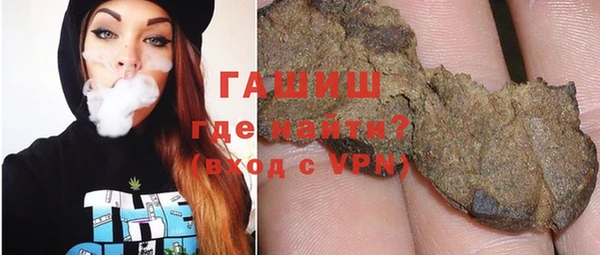 хмурый Алексин