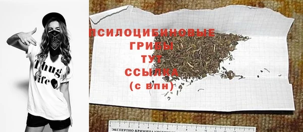 хмурый Алексин