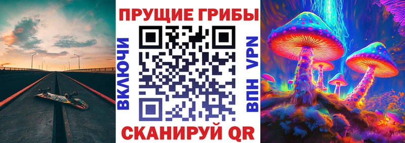 Галлюциногенные грибы Psilocybine cubensis  где можно купить наркотик  Харовск 